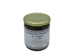 pleurottes-2